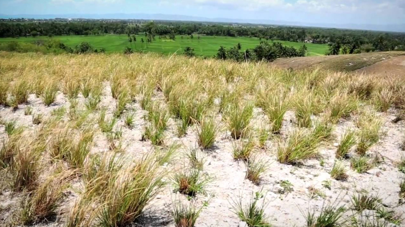 Projet Conservation des systèmes vétiver et responsabilité sociale et environnementale 