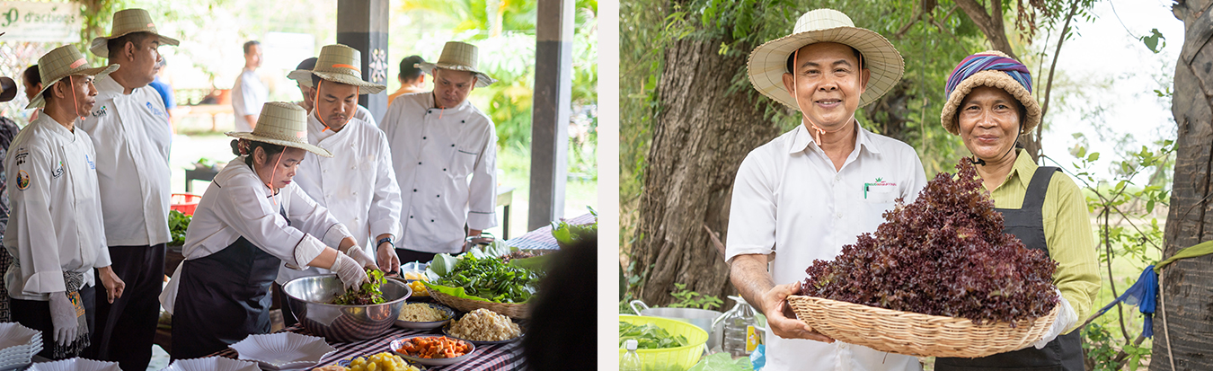 actu-2025-03-from-field-to-wok-cambodge-image2.jpg 