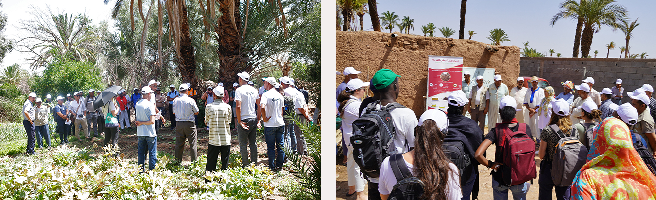 actu-2025-07-séminaire-agrisud-partenaires-marrakech-image4.jpg