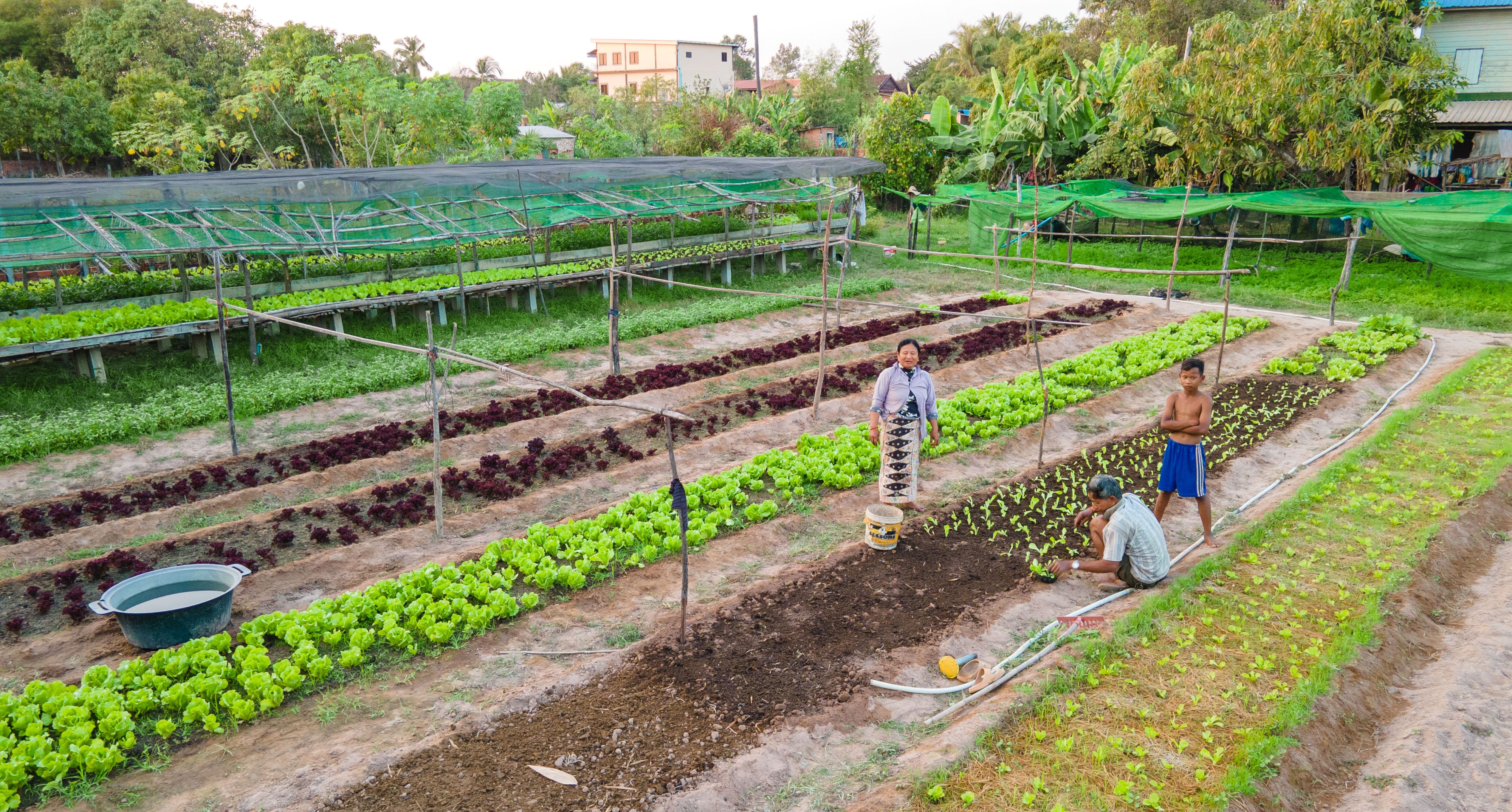 actu-2025-11-visitecd92-cambodge-image1 (1).jpg 
