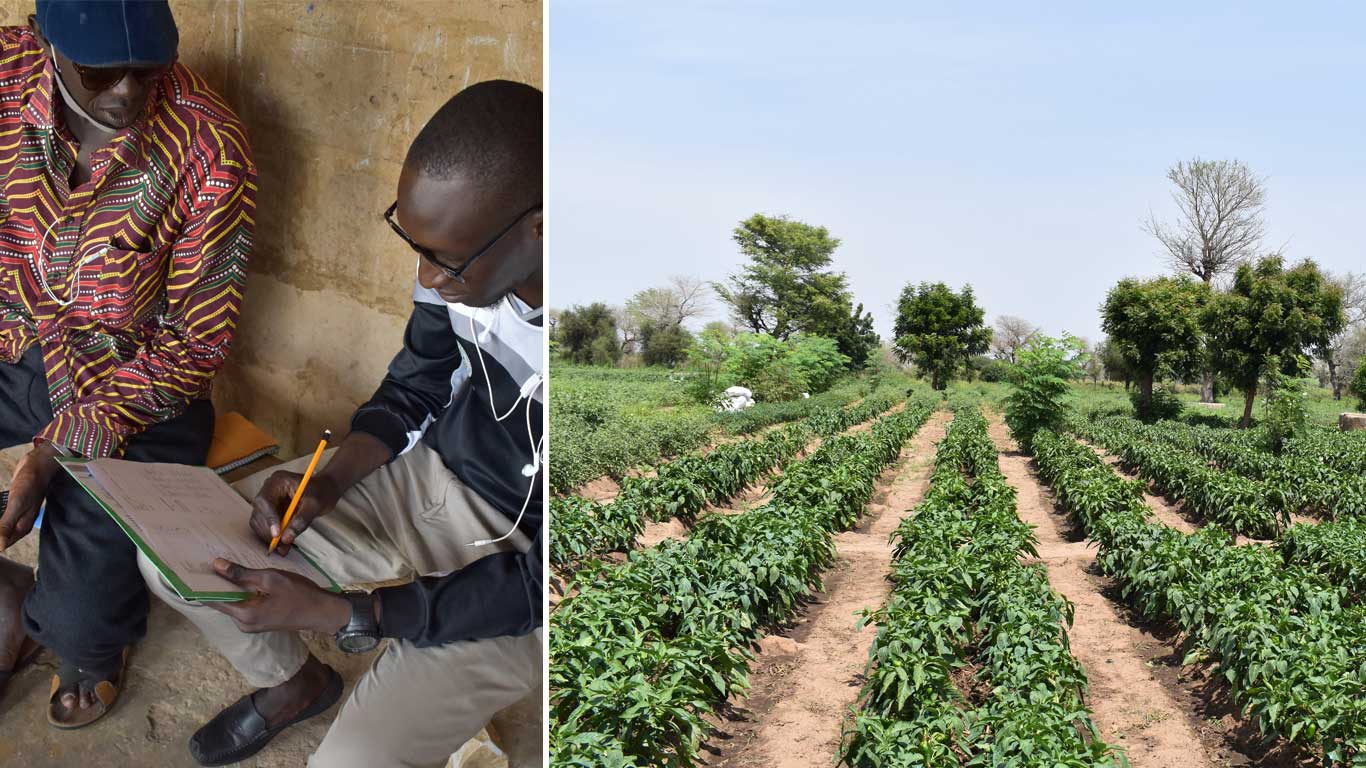Projet POP-ART Sénégal