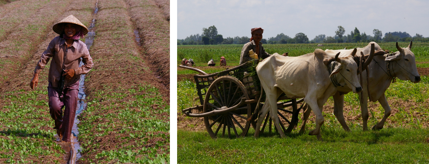 Iùage projet achevé au Cambodge