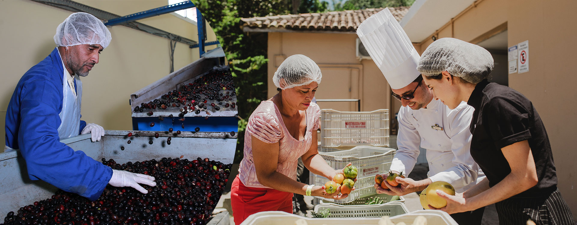 images-Programme-Delfi