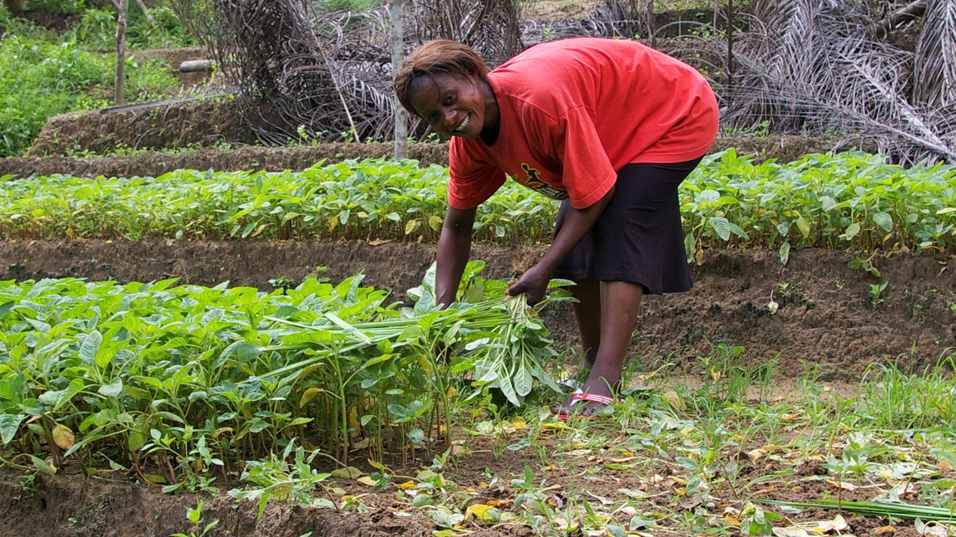 Projet Kimwenza & Lukaya RD Congo