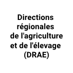 Logo DRAE