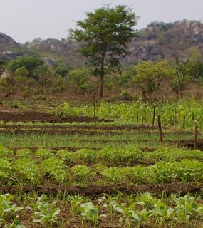 icone projet achevé en Angola