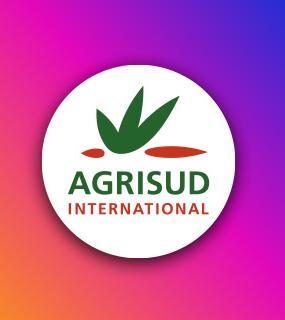 icone article lancement Instagram