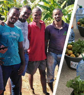 image green farmers