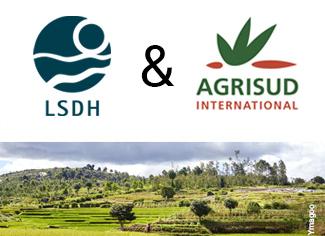 Icon annonce partenariat LSDH