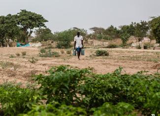 actu-2026-06-jm-desertification--icone.jpg 