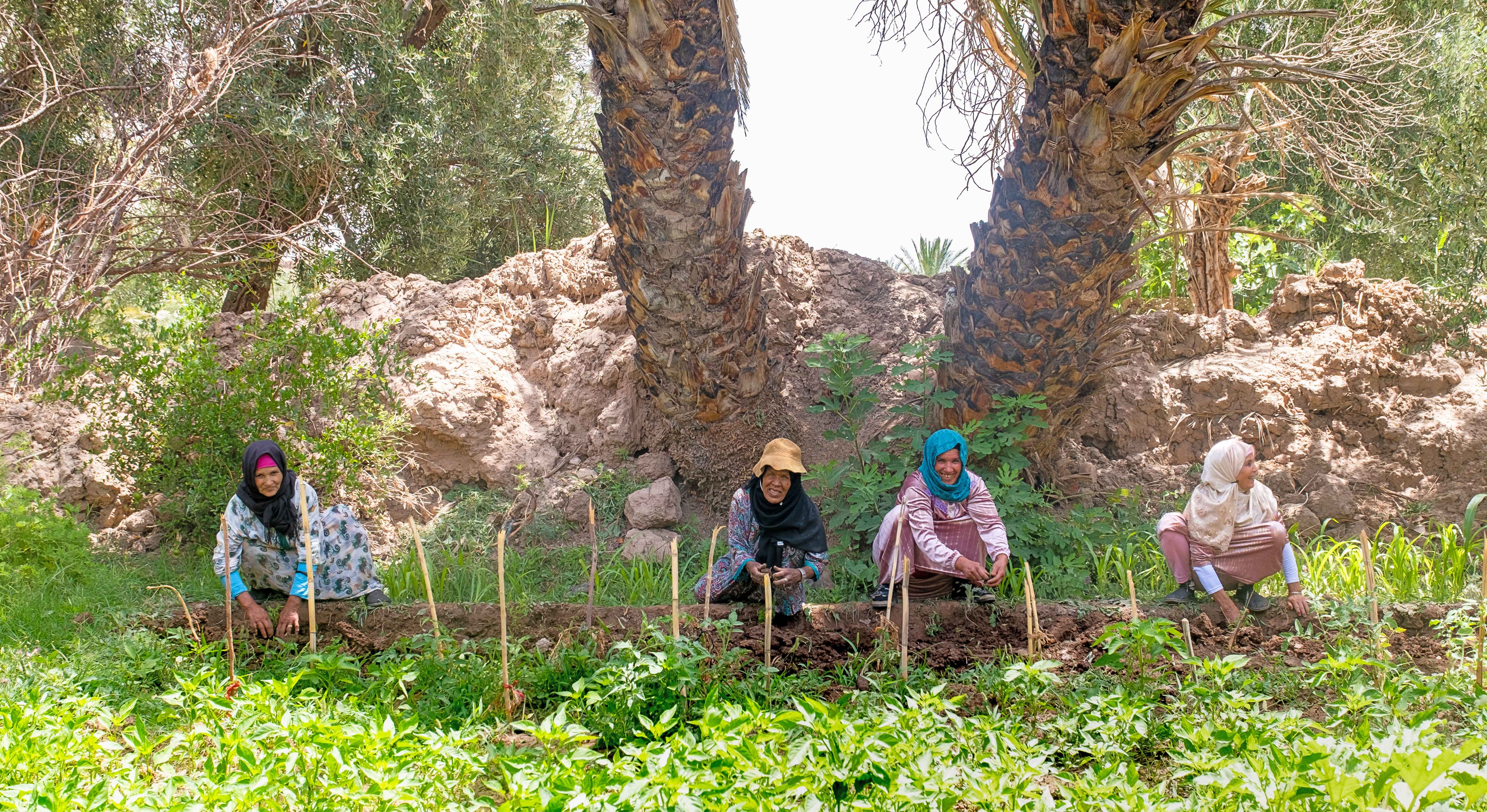 ctu-2026-09-Papsa&Lowii-Maroc-imag.1.jpg