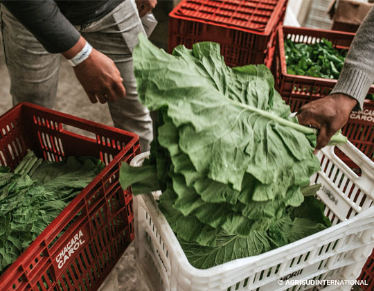 Effet de la crise sur les sytèmes alimentaires