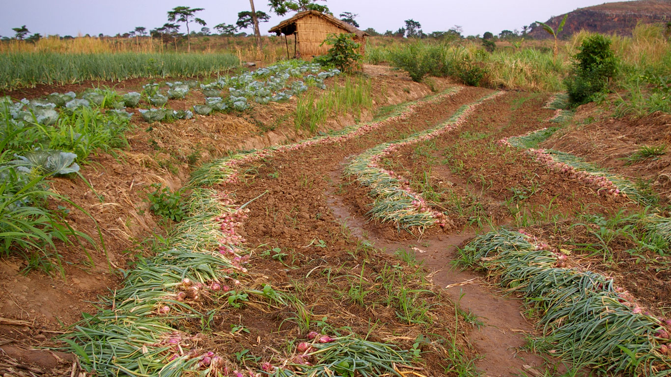Projet PADAFAC-PASAOC RD Congo
