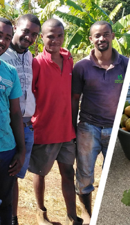 image green farmer