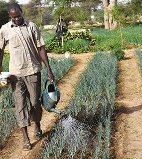 icone sortie du CP JM TPE 2024