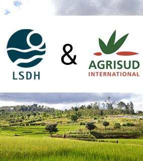 Icon annonce partenariat LSDH