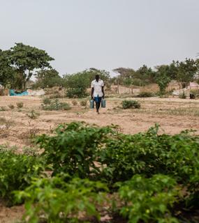 actu-2026-06-jm-desertification--icone.jpg 