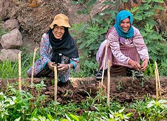 ctu-2026-09-Papsa&Lowii-Maroc-icone_0.jpg 