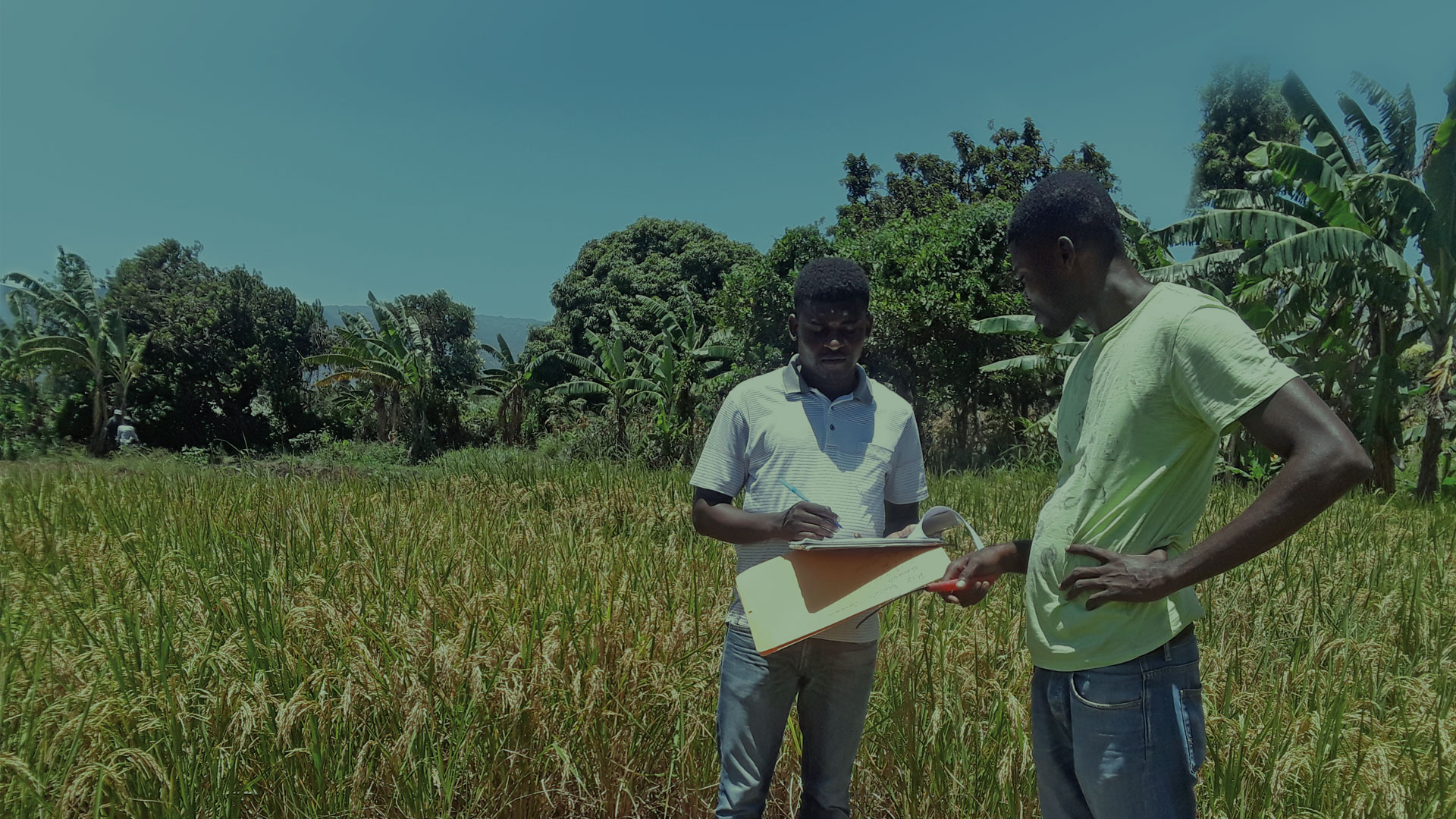 page partenaires formation et recherche d'Agrisud