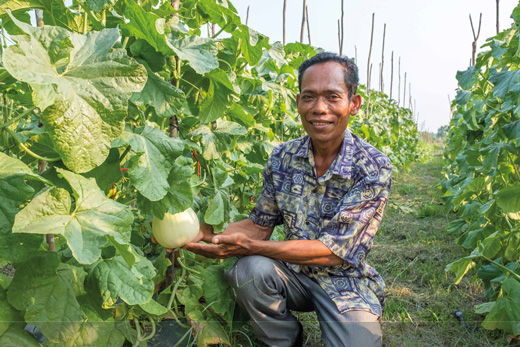 Production agroécologique de melons