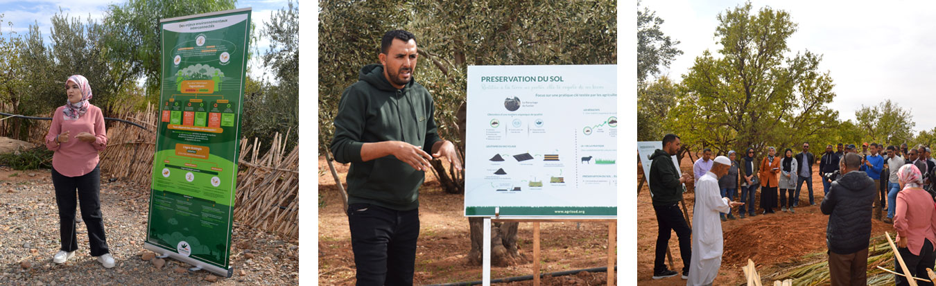 Agro-écologie face au changement climatique au Maroc