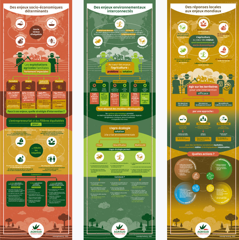 Visuel démarche Agrisud en 3 infographies