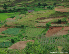 Exploitation familiale agro-écologie, Itasy