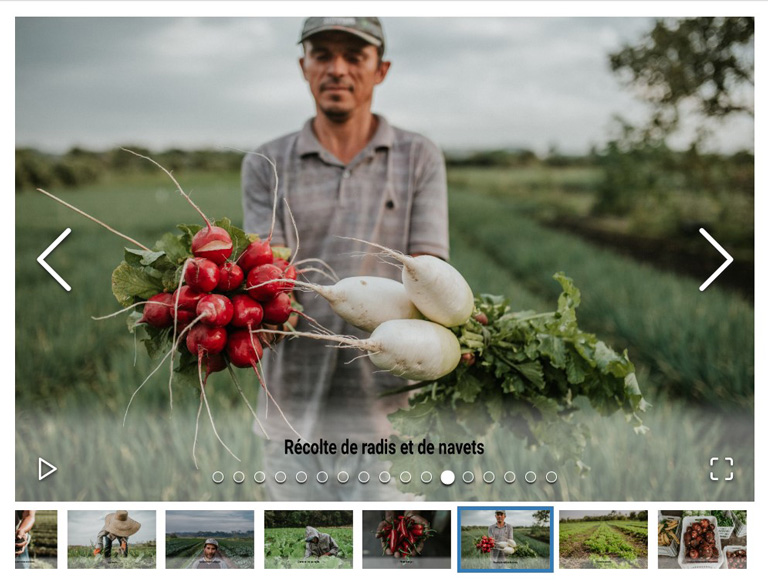 Visuel Expo photos sur la médiathèque d'Agrisud