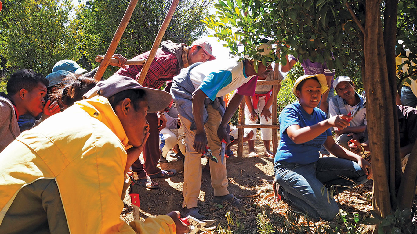 Activité de formation sur le terrain