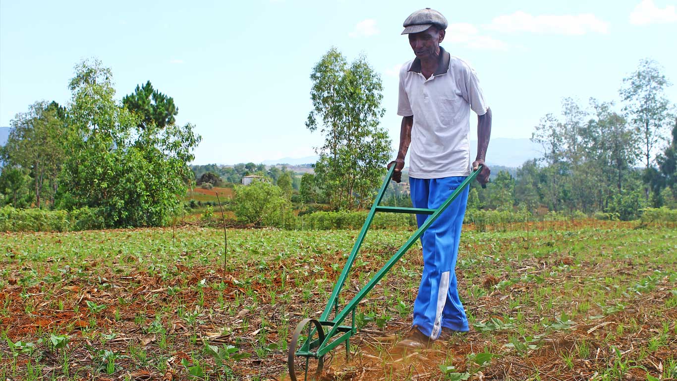 Projet PAPAM Vakinankaratra Madagascar