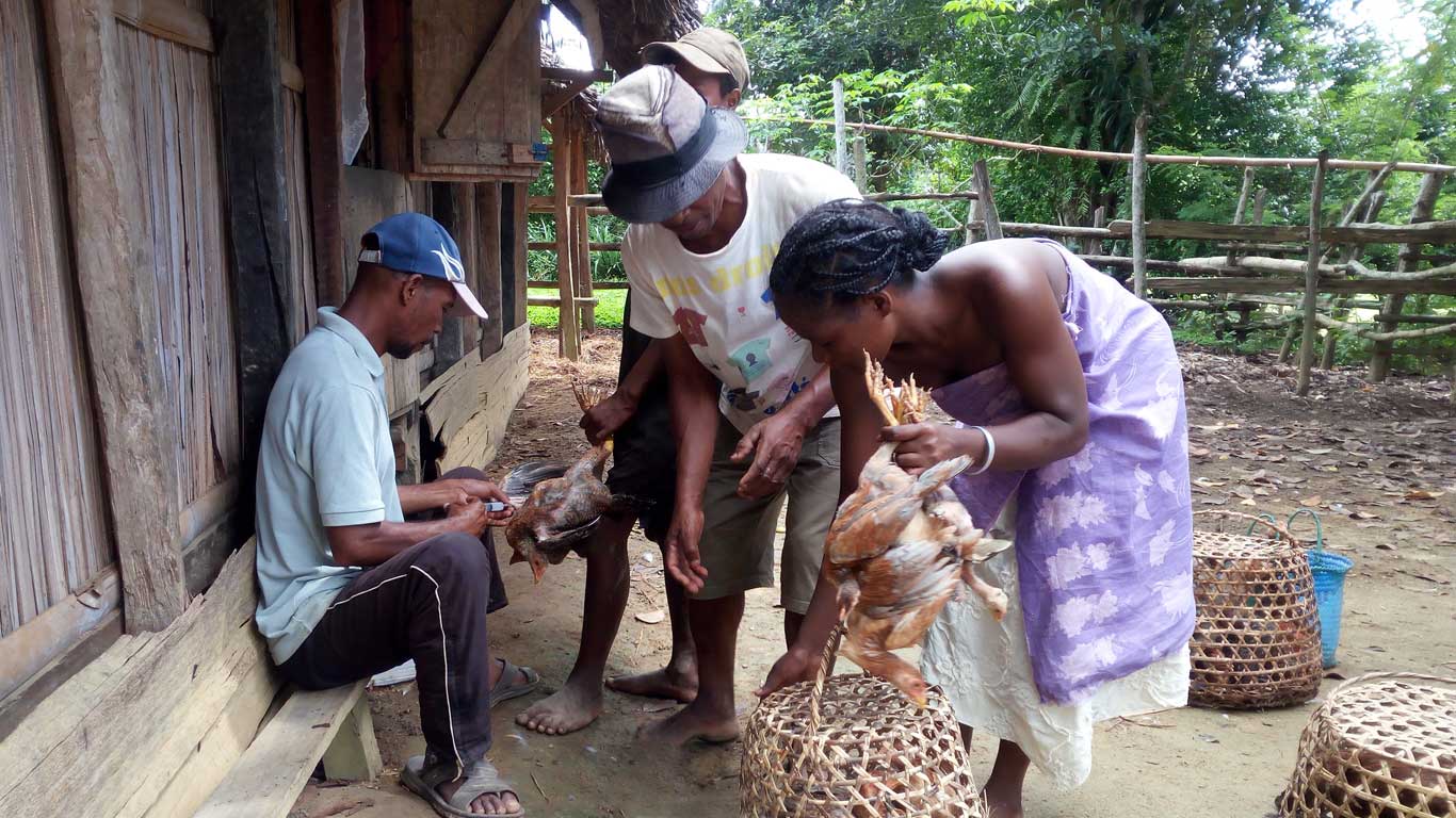 Projet PAPAM Vatovavy et Atsimo Madagascar