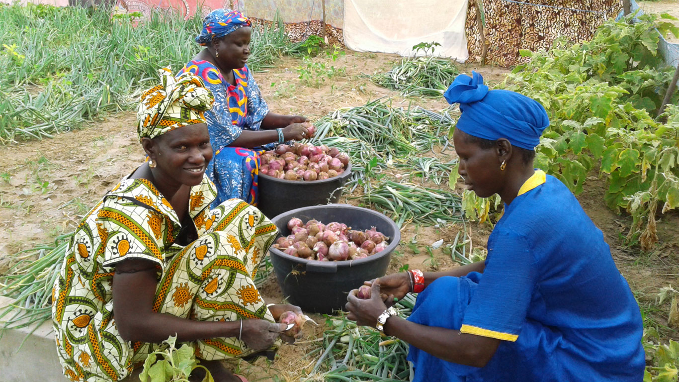 Projet PRPA Sénégal