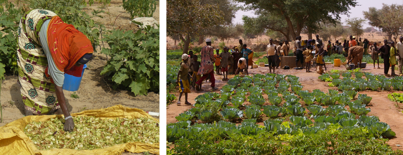 Image projet achevé SADEL au Niger