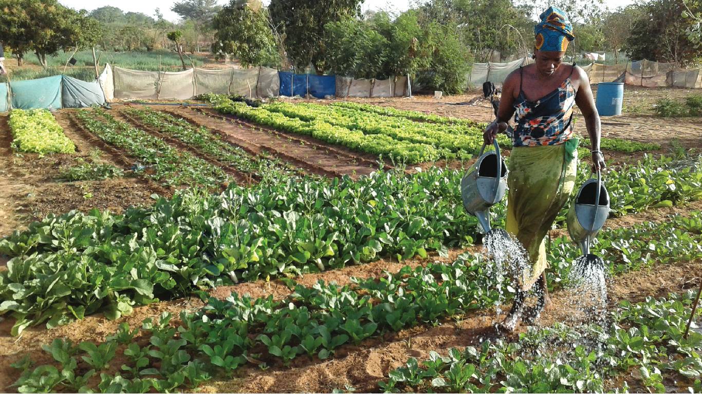 Exploitante agricole arrosant ses parcelles