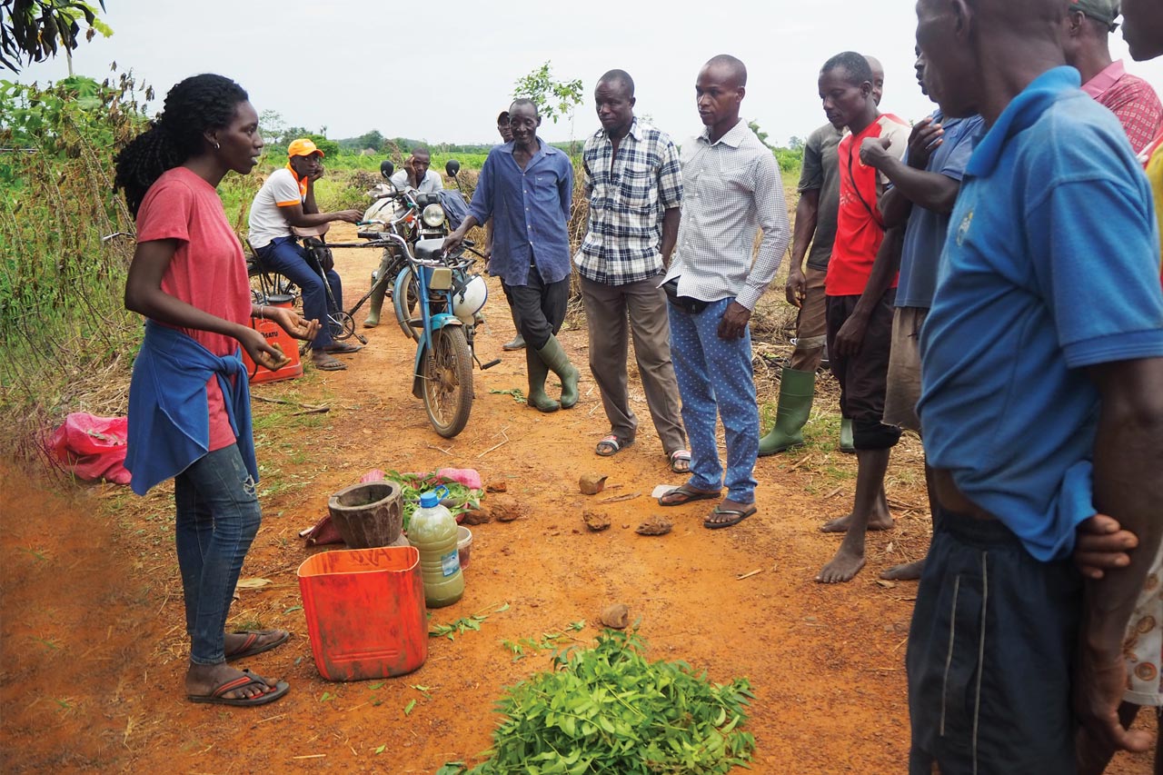 Projet Côte d'Ivoire