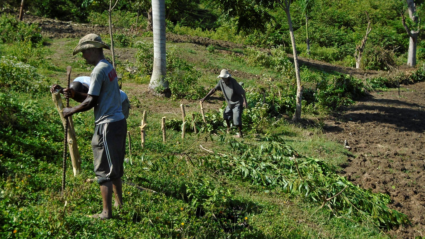 activité de terrain avec les agriculteurs