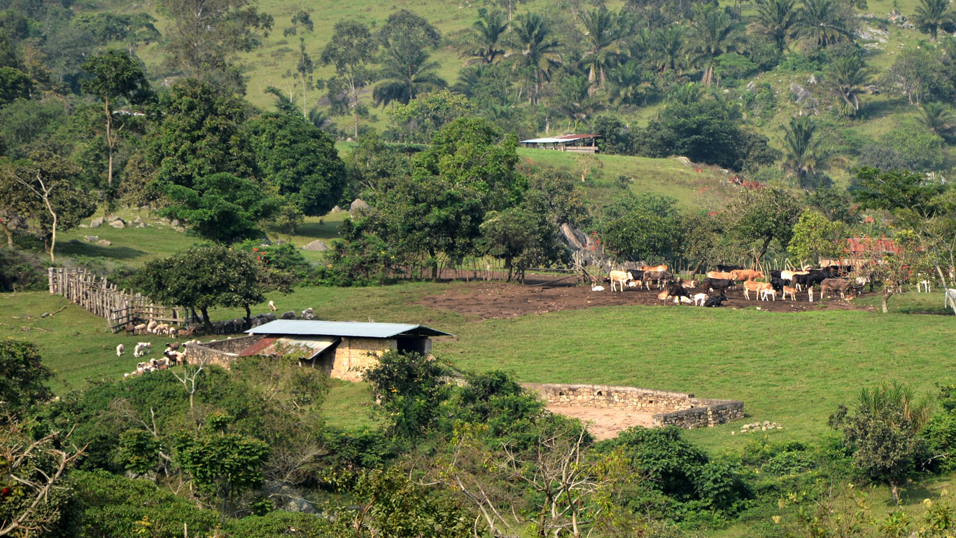 Projet Nord Kivu RD Congo