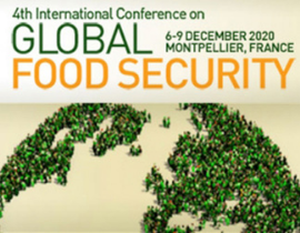 Sécurité alimentaire mondiale