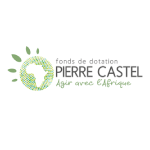 logo Fonds Pierre Castel