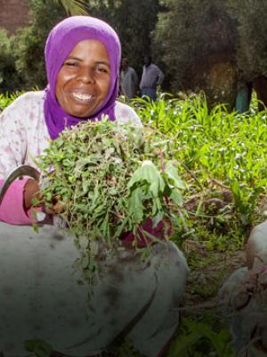 Projet PAPSA au Maroc