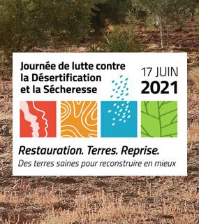 Actualité JM Désertification 2021