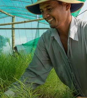 Projet boues de vidanges au Cambodge