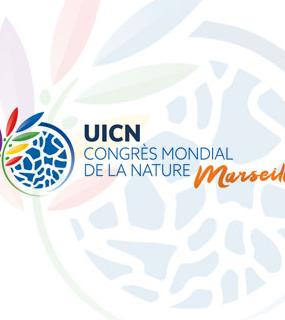 Actualité congrès UICN et enjeux environnementaux