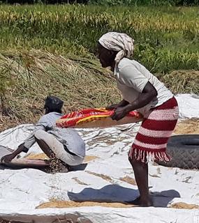 Haïti : projet adaptation au changement climatique et territoire