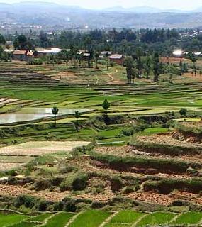 Madagascar : projet PAPAM Vakinankaratra