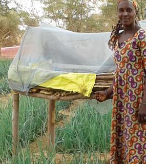 Sénégal : projet PRPA