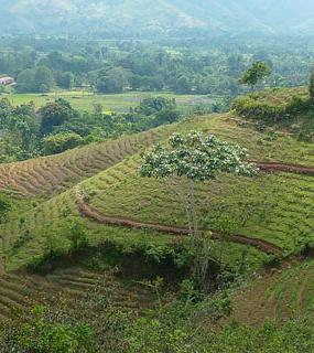 Haïti : projet PAD Nord