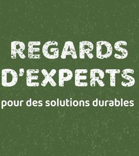 Actualité Regards d'experts : solutions durables et systèmes alimentaires