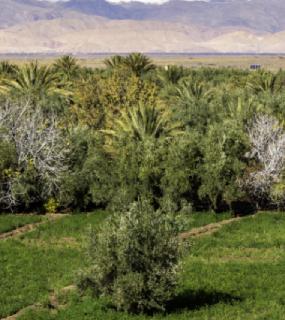 Maroc : projet achevé TOUZIA 