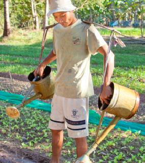 icone projet achevé ACCOR au Cambodge